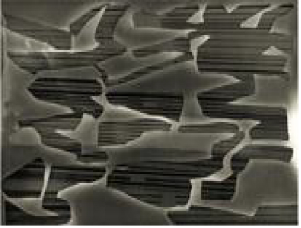 Vestige  – Photogram